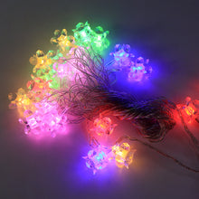Crystal Flower Led Decorative String Light (8 Meter)