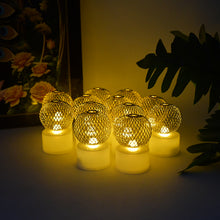 Led Ball Shaped Decorative Light With Mesh Cover (12 Pc  Set)